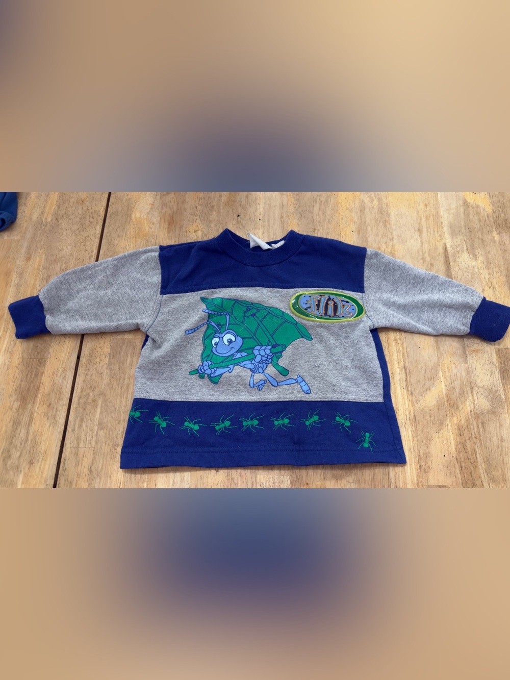 Vintage 90s Pullover Sweatshirt
Crew Neck Long Sleeve Flik A Bug's
Life